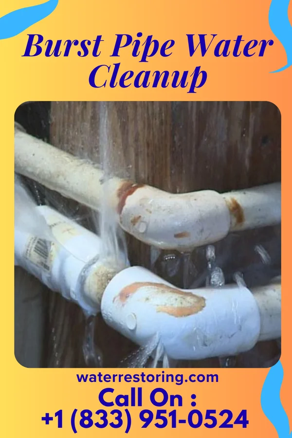 Burst Pipe Water Cleanup in Florham Park, NJ