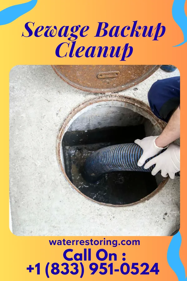 Sewage Backup Cleanup in Florham Park, NJ